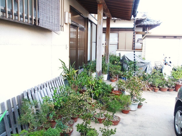 PB020002.JPG